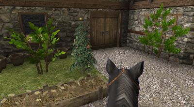 Holmehouse visiting Bouncer
